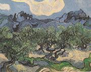 Vincent Van Gogh Olive Trees with the Alpilles in the Background (nn04) France oil painting artist